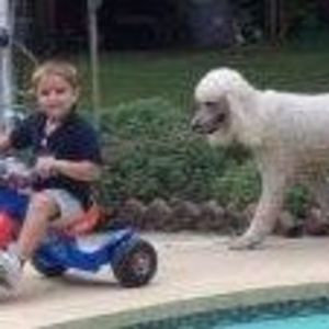 Meet your Posher, William